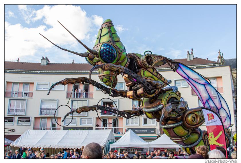 #Pascal-Photo-Web #photograhie #concert #musique #caudebecencaux #F�teducidreetdelapomme #Hastasiempre #lesagitesdubocal