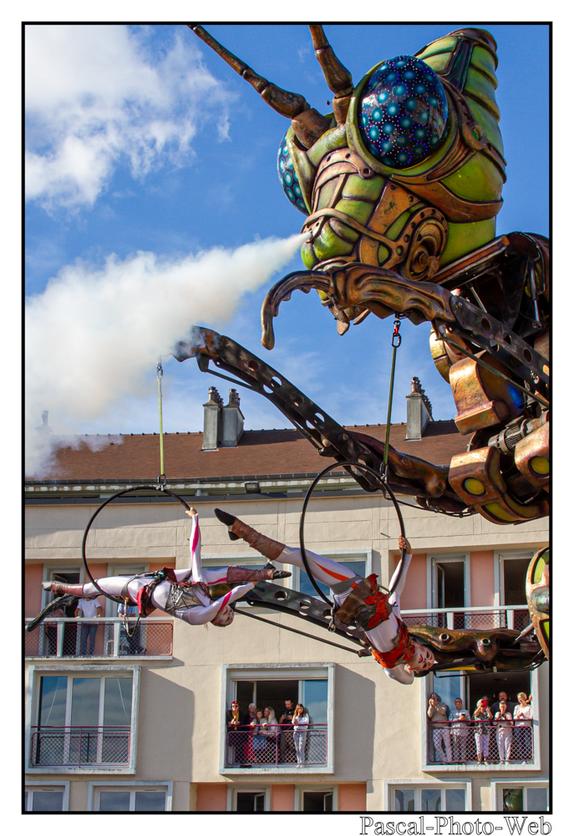 #Pascal-Photo-Web #photograhie #concert #musique #caudebecencaux #F�teducidreetdelapomme #Hastasiempre #lesagitesdubocal