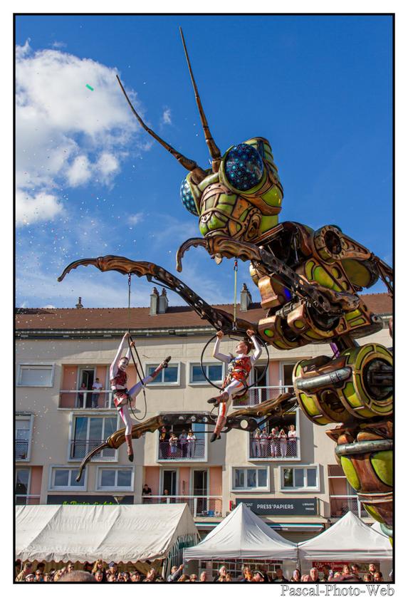 #Pascal-Photo-Web #photograhie #concert #musique #caudebecencaux #F�teducidreetdelapomme #Hastasiempre #lesagitesdubocal