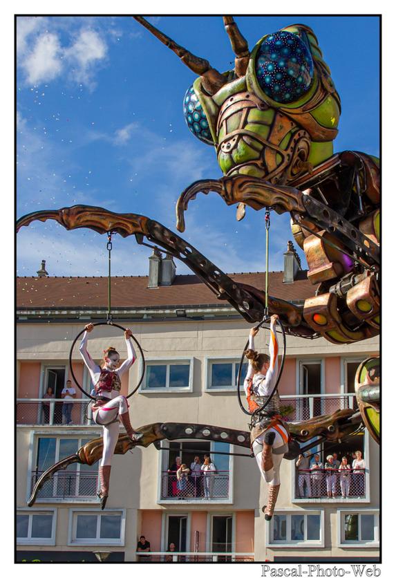 #Pascal-Photo-Web #photograhie #concert #musique #caudebecencaux #F�teducidreetdelapomme #Hastasiempre #lesagitesdubocal