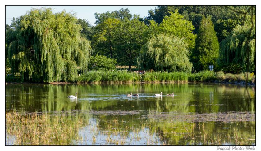 #Pascal-Photo-Web #photo #Nouvelle-Aquitaine #la vienne #paysage #france #86 #centre #ouest