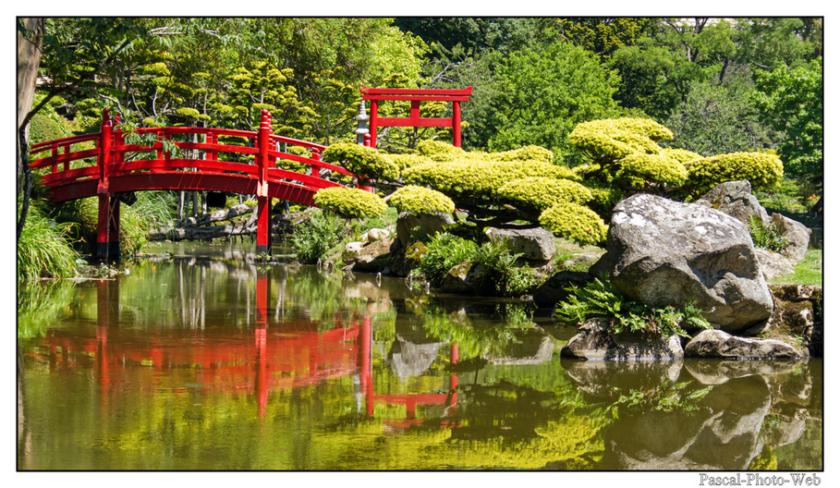 #Pascal-Photo-Web #photo #Nouvelle-Aquitaine #la vienne #paysage #france #86 #centre #ouest