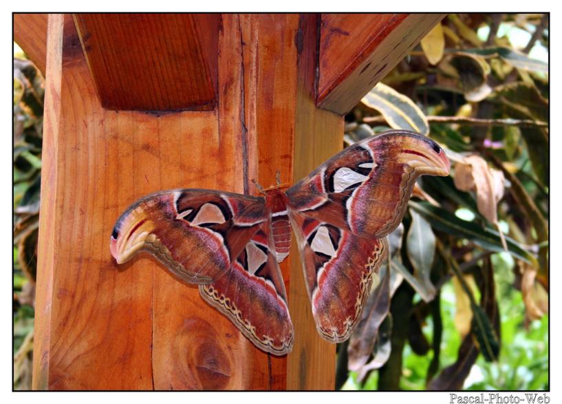 #Pascal-Photo-Web #photo #bretagne #Morbillan #paysage #france #56 #ouest #Vannes