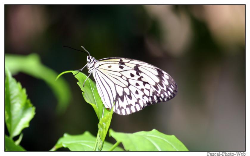 #Pascal-Photo-Web #photo #bretagne #Morbillan #paysage #france #56 #ouest #Vannes