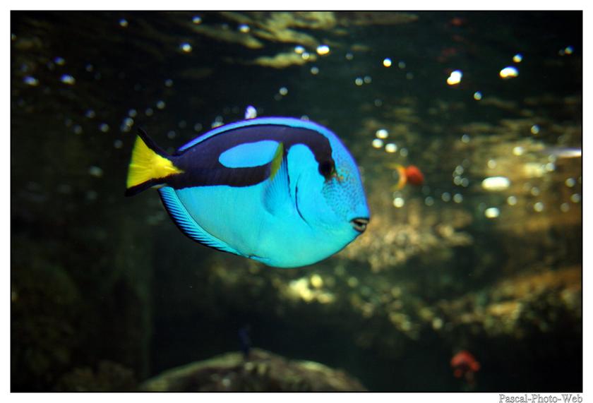 #Pascal-Photo-Web #photo #bretagne #Morbillan #paysage #france #56 #ouest #Vannes