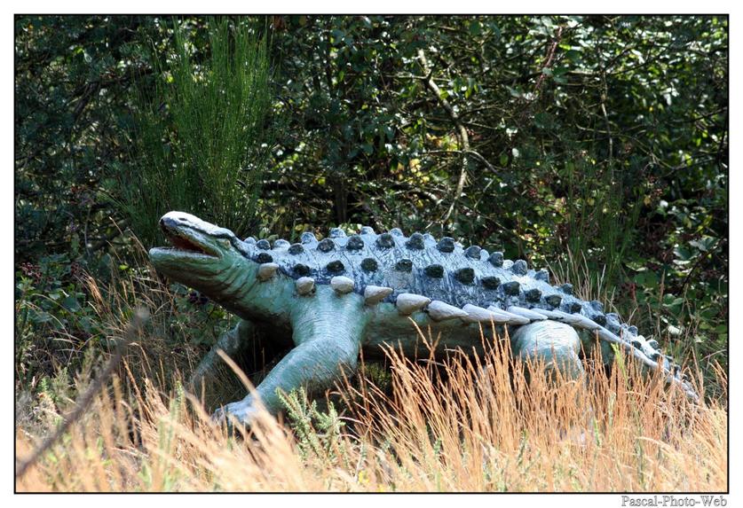 #Pascal-Photo-Web #photo #bretagne #Morbillan #paysage #france #56 #ouest 