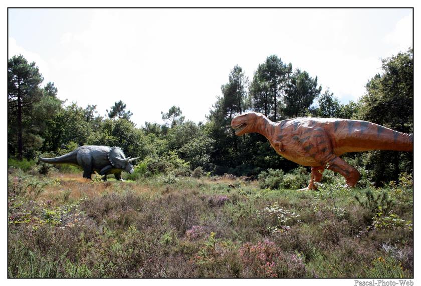 #Pascal-Photo-Web #photo #bretagne #Morbillan #paysage #france #56 #ouest 