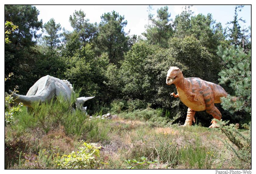 #Pascal-Photo-Web #photo #bretagne #Morbillan #paysage #france #56 #ouest 