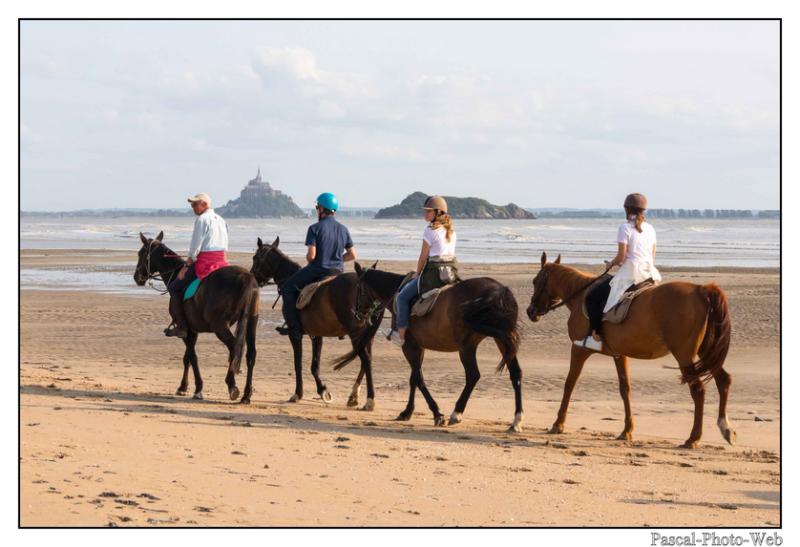 #Pascal-Photo-Web #photo # mont-saint-michel # normandie #manche #paysage #baie #merveille #pr�sal�s #france #50 #nord #ouest #cheveaux