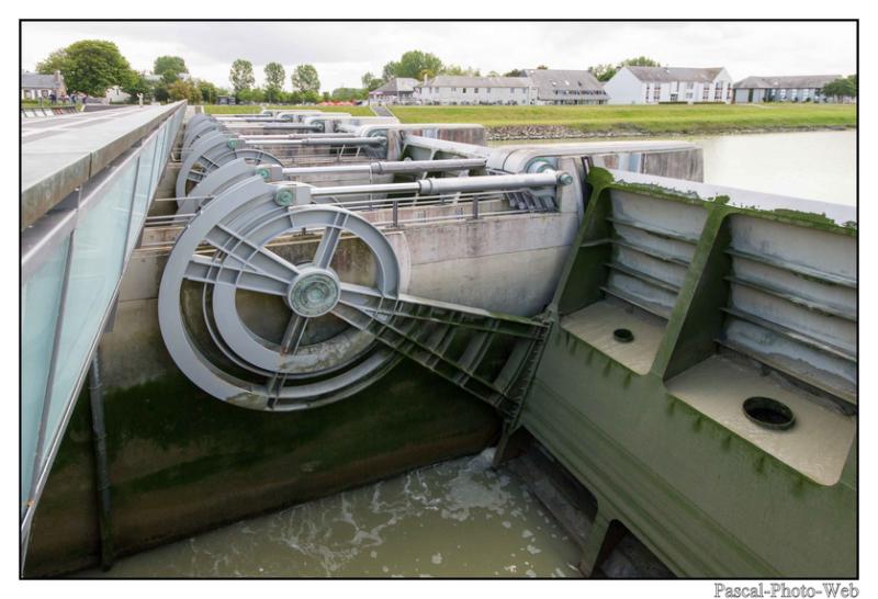 #Pascal-Photo-Web #photo # mont-saint-michel # normandie #manche #paysage #baie #merveille #pr�sal�s #france #50 #nord #ouest