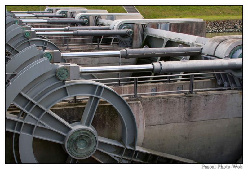 #Pascal-Photo-Web #photo # mont-saint-michel # normandie #manche #paysage #baie #merveille #pr�sal�s #france #50 #nord #ouest