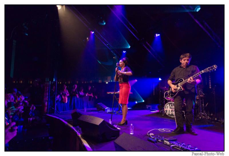 #Pascal-Photo-web #Kaddyandthekeys #Concert MaggicMiror #lehavre #music