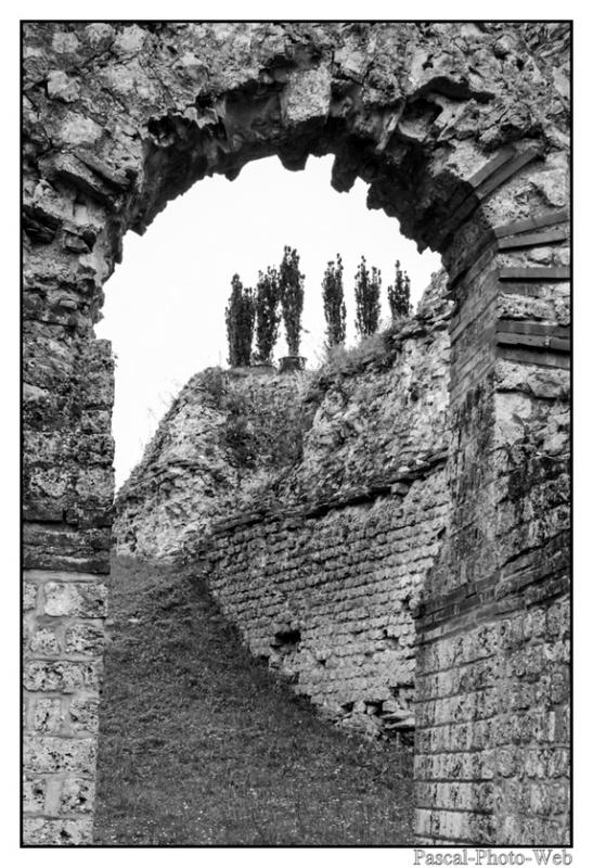 #Pascal-Photo-Web #Lillebonne #s�te galloromain #Paysage #Seine-Maritime #France #Baln�aire #Normandie #patrimoine #touristique