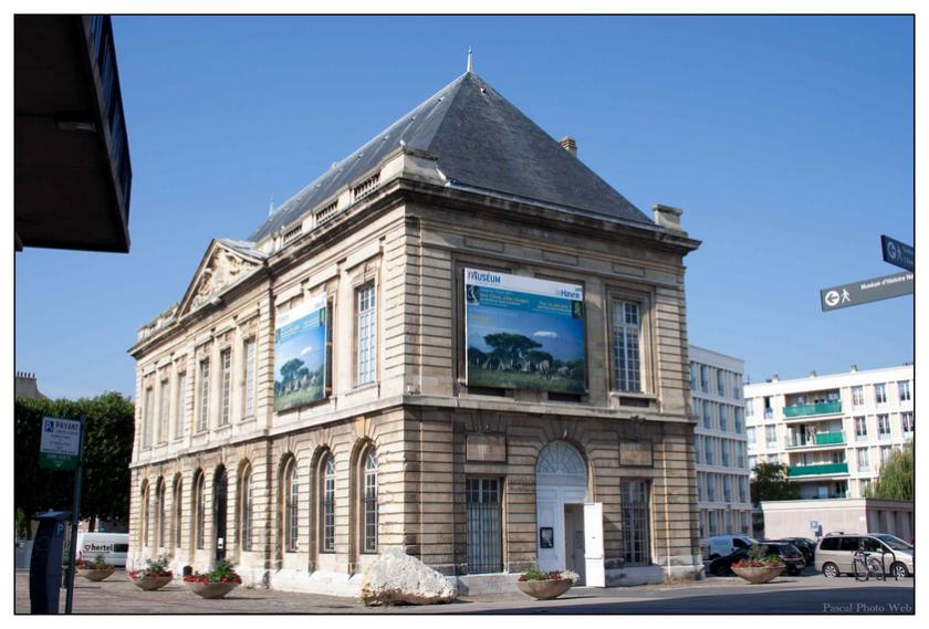 #lehavre #pascalphotoweb #Mus�e #histoirenaturelle