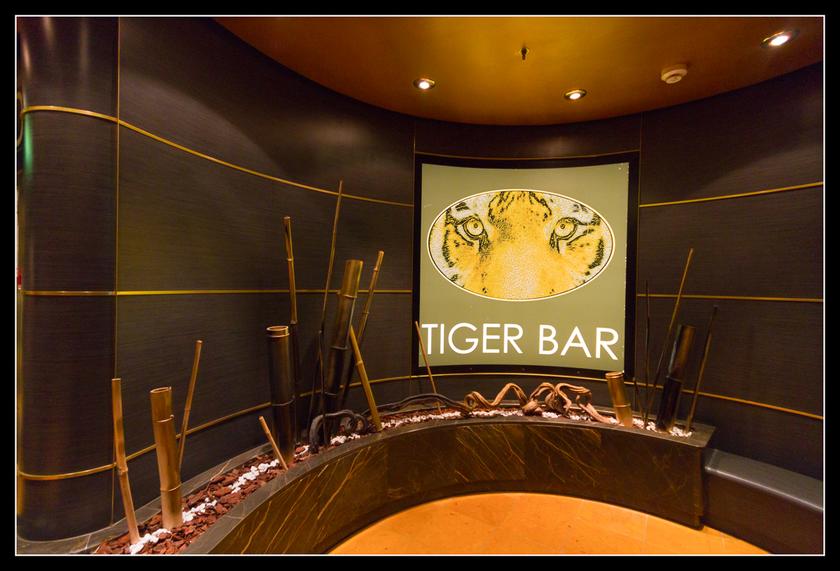 #pascalphotoweb #croisiere #MSC #magnifica #lehavre #navigation