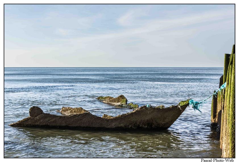 #Pascal-Photo-Web #photo #normandie #SeineMaritime #paysage #Octeville #france #76 #nord #ouest