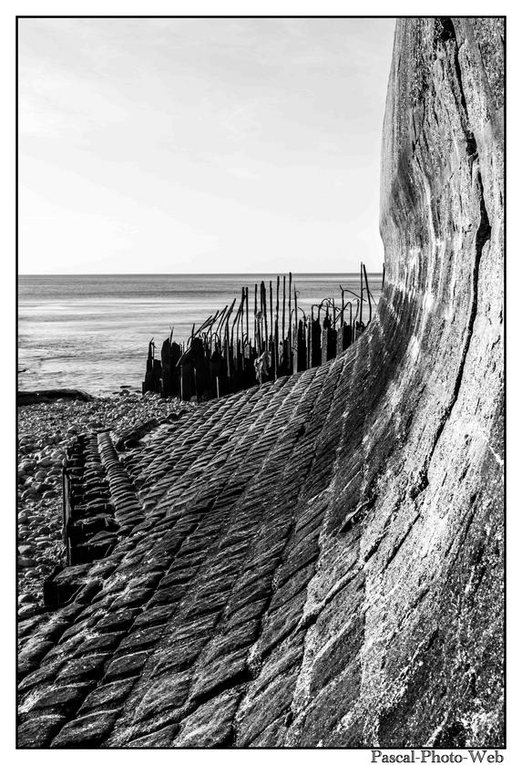 #Pascal-Photo-Web #photo #normandie #SeineMaritime #paysage #Octeville #france #76 #nord #ouest