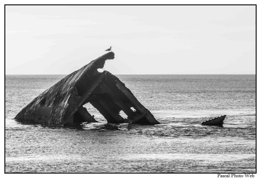 #Pascal-Photo-Web #photo #normandie #SeineMaritime #paysage #Octeville #france #76 #nord #ouest