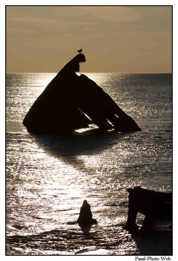 #Pascal-Photo-Web #photo #normandie #SeineMaritime #paysage #Octeville #france #76 #nord #ouest