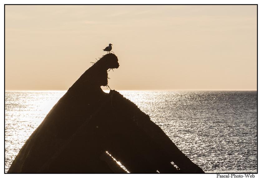 #Pascal-Photo-Web #photo #normandie #SeineMaritime #paysage #Octeville #france #76 #nord #ouest