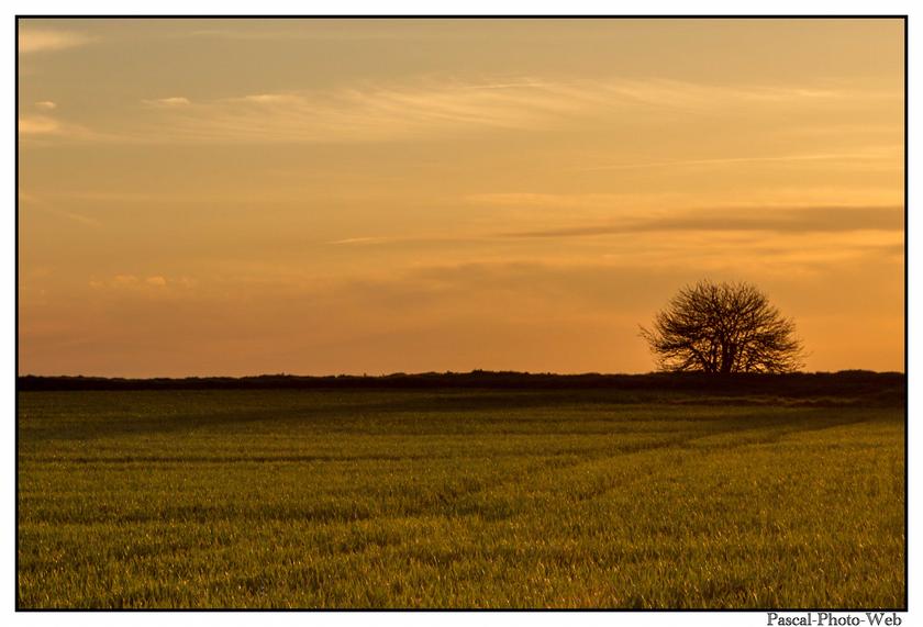 #Pascal-Photo-Web #photo #normandie #SeineMaritime #paysage #Octeville #france #76 #nord #ouest