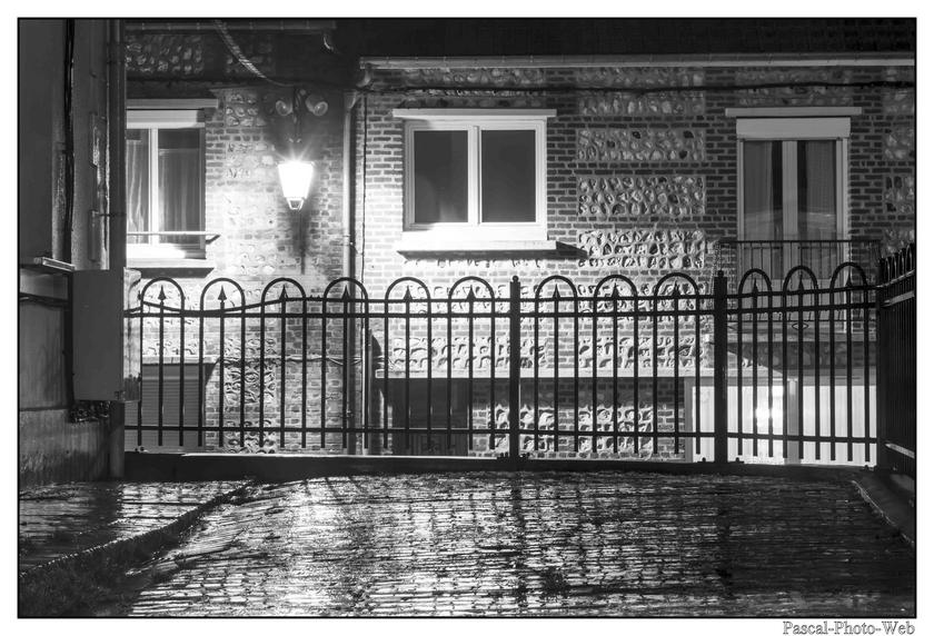 #Pascal-Photo-Web #photo #normandie #SeineMaritime #paysage #Octeville #france #76 #nord #ouest