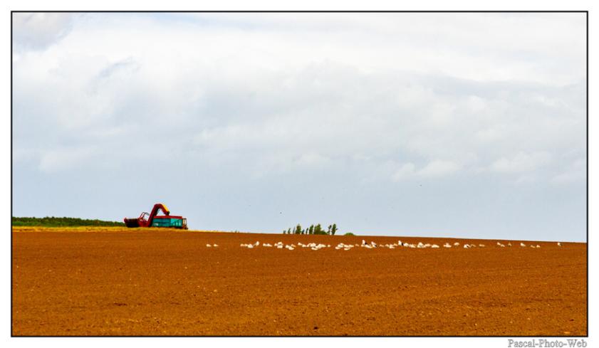 #Pascal-Photo-Web #photo #normandie #SeineMaritime #paysage #Octeville #france #76 #nord #ouest