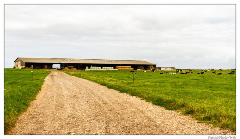 #Pascal-Photo-Web #photo #normandie #SeineMaritime #paysage #Octeville #france #76 #nord #ouest