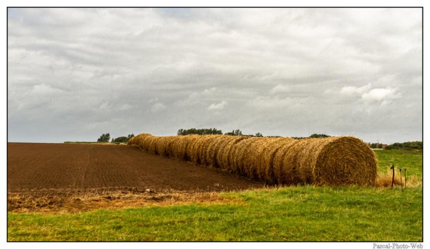 #Pascal-Photo-Web #photo #normandie #SeineMaritime #paysage #Octeville #france #76 #nord #ouest