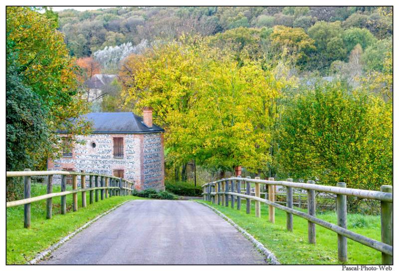 #parcderouelle #arbre #autonme #lehavre #pascal-photo-web #normandie #seine-maritime #76 #france #nord #ouest #patrimoine