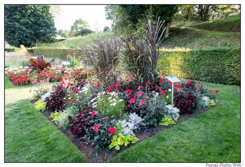 #jardinssuspendus #fleurs #lehavre #pascal-photo-web #normandie #seine-maritime #76 #france #nord #ouest #patrimoine