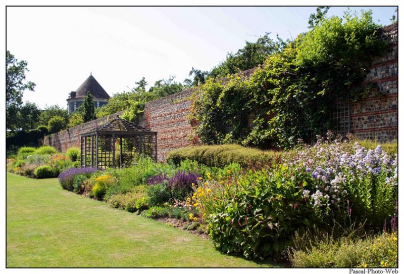 #autonme #vivaces #canard #parcderouelle #arbre #lehavre #pascal-photo-web #normandie #seine-maritime #76 #france #nord #ouest #patrimoine