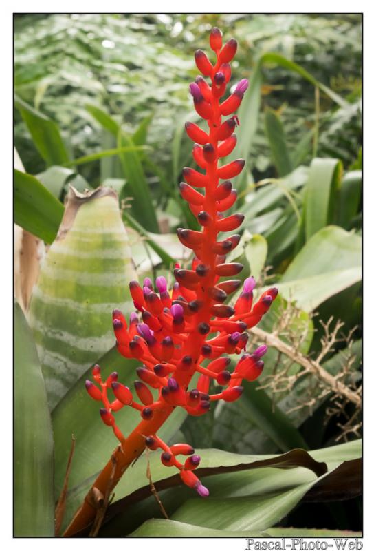 #jardinssuspendus #fleurs #lehavre #pascal-photo-web #normandie #seine-maritime #76 #france #nord #ouest #patrimoine