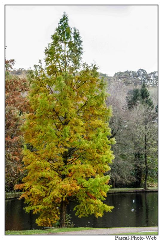 #parcderouelle #arbre #autonme #lehavre #pascal-photo-web #normandie #seine-maritime #76 #france #nord #ouest #patrimoine