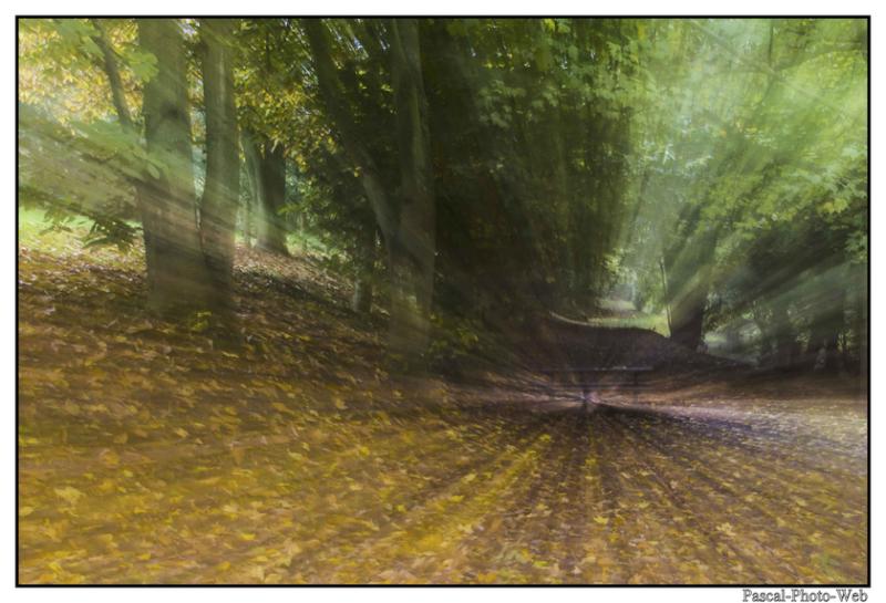 #parcderouelle #arbre #autonme #lehavre #pascal-photo-web #normandie #seine-maritime #76 #france #nord #ouest #patrimoine