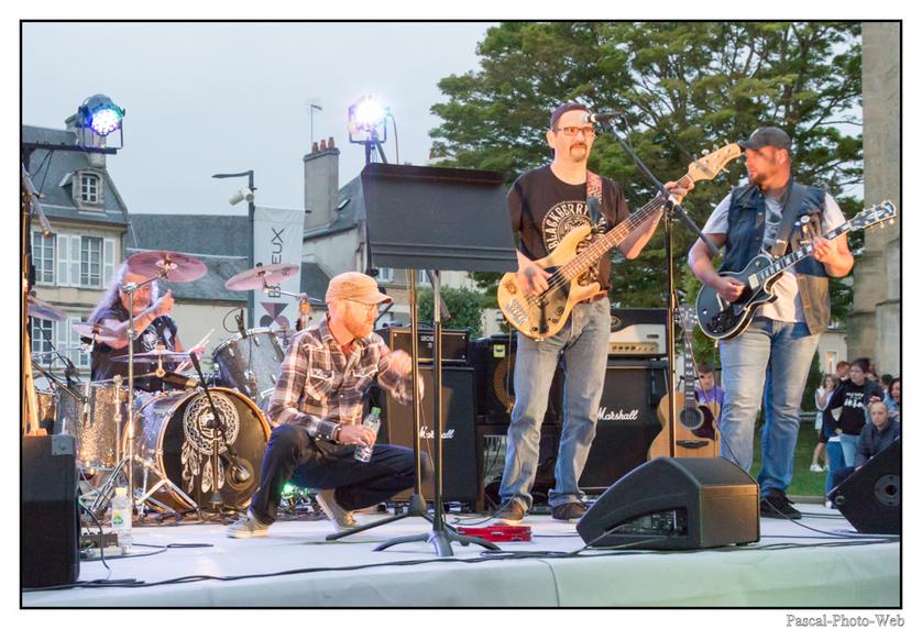 #Pascal-Photo-Web #Photo #The owl band #concert #musique #Bayeux #festival