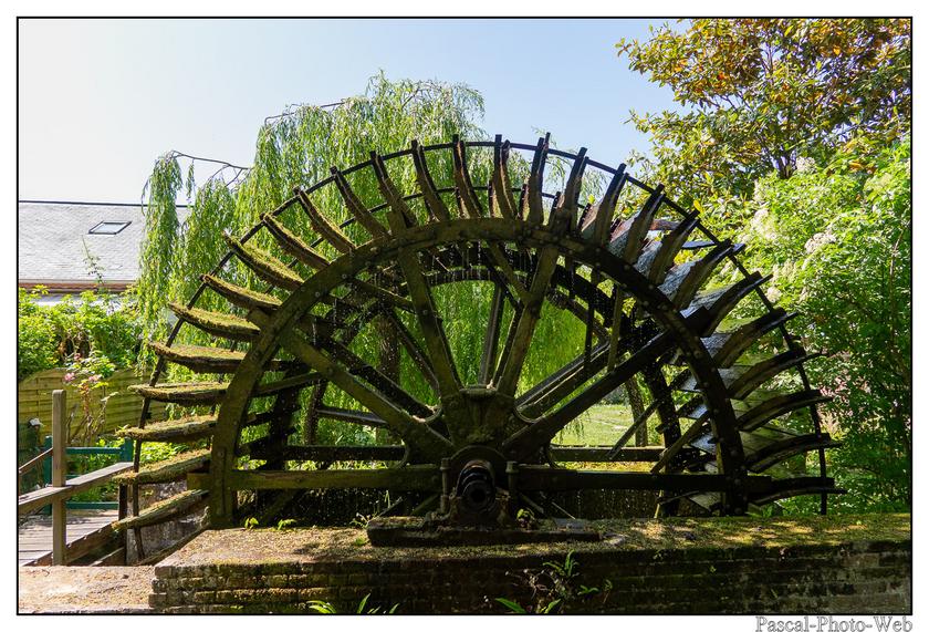 #Pascal-Photo-Web #veuleslesroses #Paysage #Seine-Maritime #France #Litoral #Baln�aire #Falaise #Normandie #76 Galets #patrimoine #plage #touristique #mer