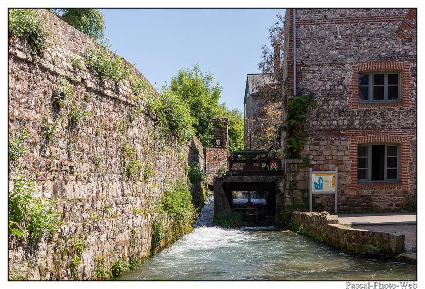#Pascal-Photo-Web #veuleslesroses #Paysage #Seine-Maritime #France #Litoral #Baln�aire #Falaise #Normandie #76 Galets #patrimoine #plage #touristique #mer