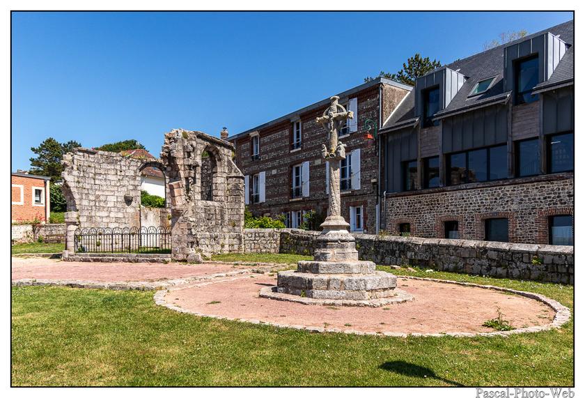 #Pascal-Photo-Web #veuleslesroses #Paysage #Seine-Maritime #France #Litoral #Baln�aire #Falaise #Normandie #76 Galets #patrimoine #plage #touristique #mer